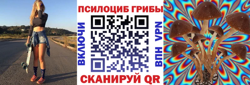 Галлюциногенные грибы прущие грибы  Купить закладки  Катайск 